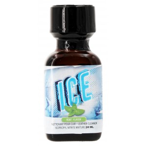 BGP Leather Cleaner Ice Menthe 24ml