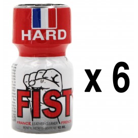 BGP Leather Cleaner  FIST FRANCE 10mL x6
