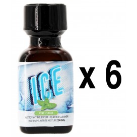 BGP Leather Cleaner ICE Menthe 24ml x6