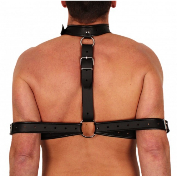 Bondage and arm support collar in leather