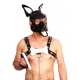 PUPPY SET OHREN UND ZUNGE AUS WEISSEM LEDER