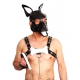 PUPPY SET WHITE LEATHER EARS AND TONGUE