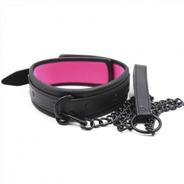 Collar + Lead Black - Pink
