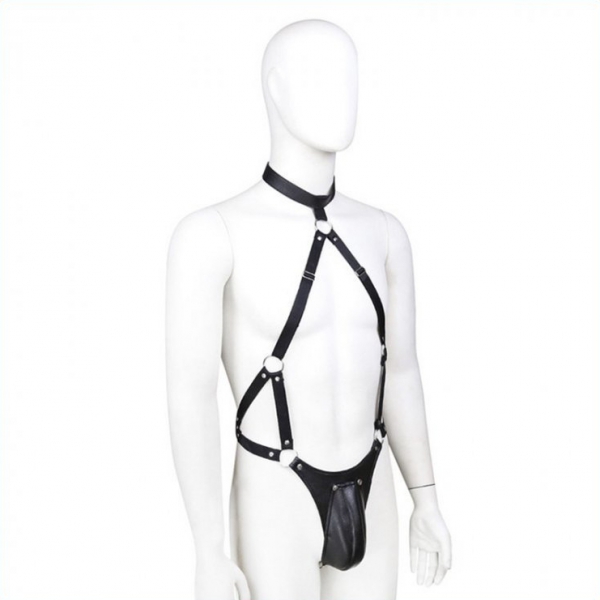 Panties set with mock harness