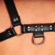 Black leather harness