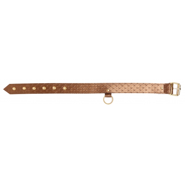 Darling Pet Bronce collar y correa 1m