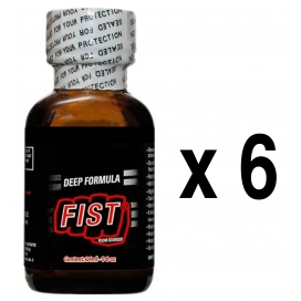 BGP Leather Cleaner FIST 24ml x6