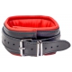Padded leather collar with 3 D-rings Red