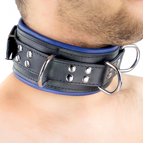 Collar de cuero - acolchado - 3 anillos en D - Negro/Azul