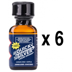 BGP Leather Cleaner  QUICK SILVER 24ml x6