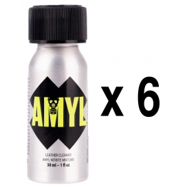 AMYL Bolsillo 24ml x6