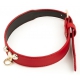 Master Me Red Collar & Leash