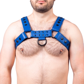 The Red Harness Snap Leather Harness Blue