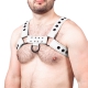 Snap Leather Harness White