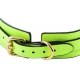 Luminous Green Collar