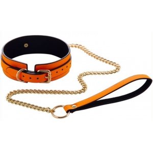 Fosforescerende Lichtgevende Oranje Halsband