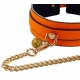 Fosforescerende Lichtgevende Oranje Halsband