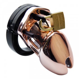 Chastity cage Bronze color