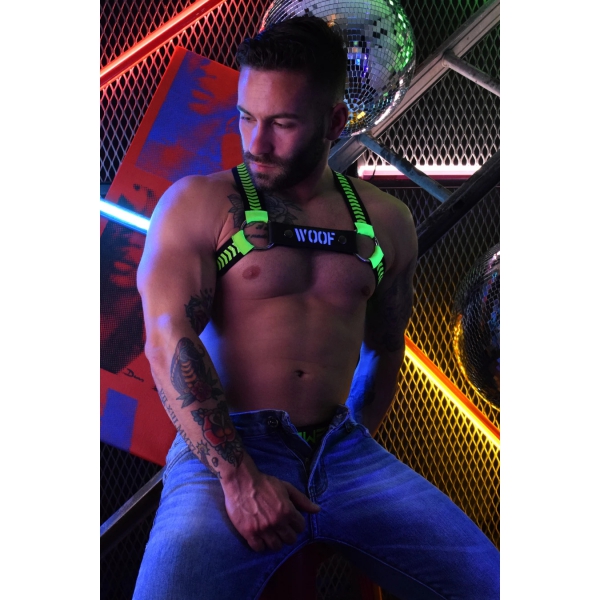 Lighted Strap for WOOF Breedwell Harness