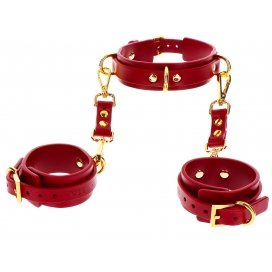 D-Ring Collar with Wrist Cuffs Taboom Red