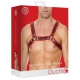 Buckle Bulldog Geschirr Schwarz-Rot