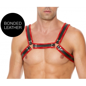 Ouch! Harness Bulldog Buckle Harness Black-Red