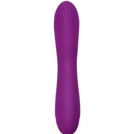 Vibro Torti 17 x 3.3cm Purple