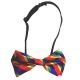 BOW TIE Rainbow bow tie