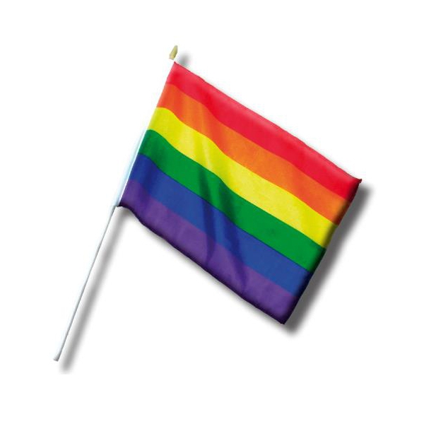 Mini Rainbow Flag 20 x 30cm