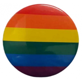 Regenboog Metalen Badge