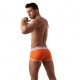 Boxer FRENCH Orange