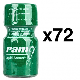 BGP Leather Cleaner  RAM 10ml x72