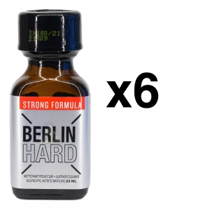 BGP Leather Cleaner BERLIJN HARD STERK 24ml x6