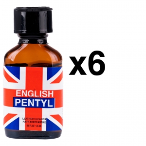 BGP Leather Cleaner PENTELLO INGLÉS 24ml x6