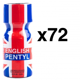 BGP Leather Cleaner  PENTILO INGLÉS 15ml x72