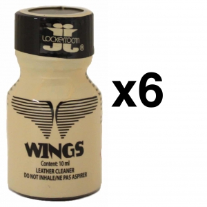 Locker Room WINGS Braun 10ml x6