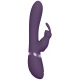 Vibro coelho Taka 22 x 6cm roxo