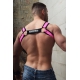 Breedwell BRUT Elastic Harness Pink Neon