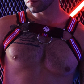 BRUT HARNESS - RED 