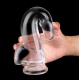 Clear dildo CLEAR DONG XXL 20 x 5.5cm