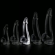 Dildo Dong trasparente L 14 x 4,5 cm