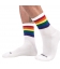 Half Socks Rainbow Socken