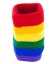 Regenboog Polsband