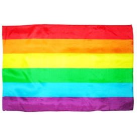 Bandera Arco Iris 90 x 140cm
