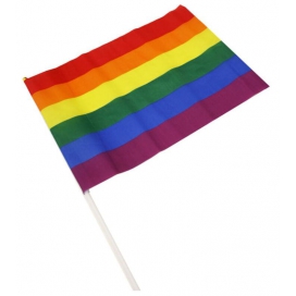 Regenboogvlag met hoes 30 x 43cm