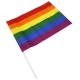 Regenboogvlag met hoes 30 x 43cm
