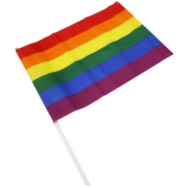 Pride Items Rainbow-Flagge mit Stiel 20 x 28cm