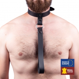 Leather collar with short leash