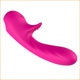 Vibro Rabbit Romance 18cm Rosa