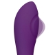 Pulsador Vibro Punto G 22cm Púrpura